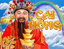 Cai Hong is a 5 reel slot game
