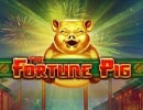 Fortune Pig slot