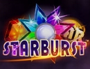 Play Starburst slots at Royal Panda